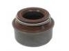 колпачок в сборе Valve Stem Seal:50 00 676 155